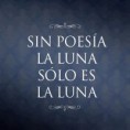 /album/lectura-de-imagenes/la-foto-5-jpg/
